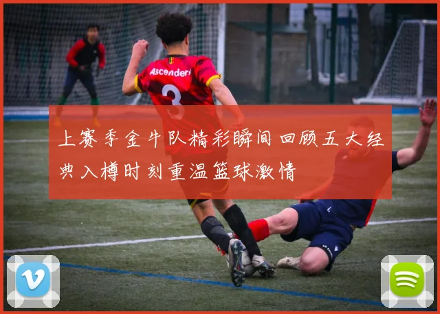 上赛季金牛队精彩瞬间回顾五大经典入樽时刻重温篮球激情