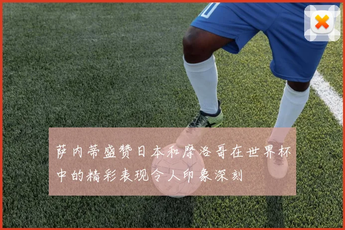 萨内蒂盛赞日本和摩洛哥在世界杯中的精彩表现令人印象深刻