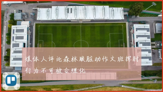 媒体人评论森林狼脏动作文班挥肘行为不可被合理化